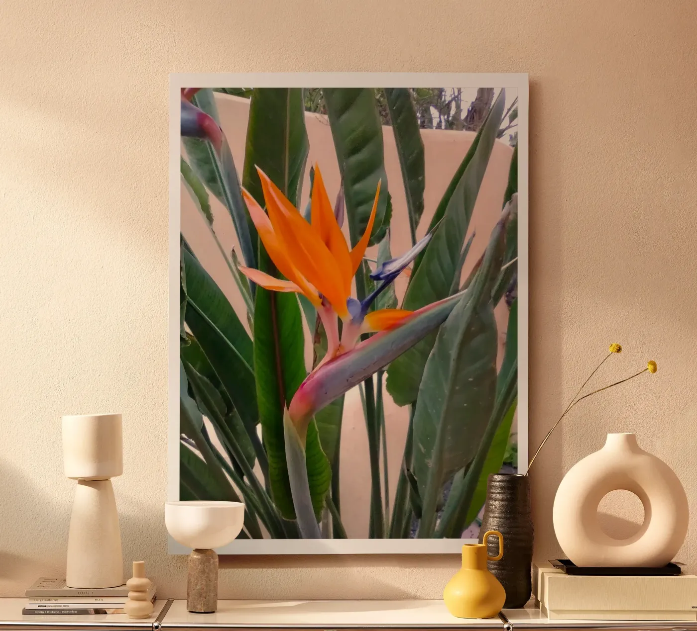 Strelitzien pannello forex da SunflowerDE