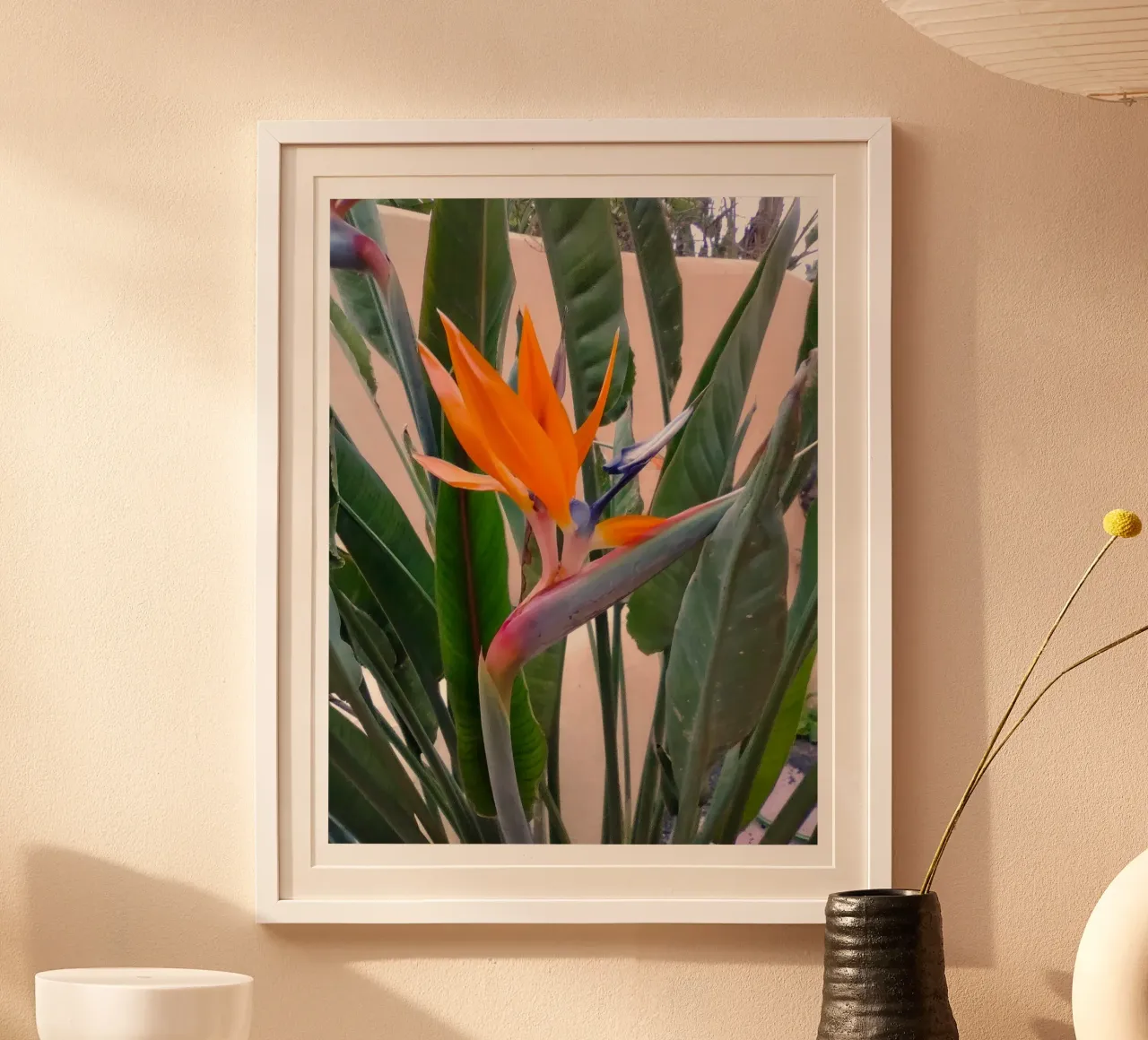 Strelitzien poster by SunflowerDE