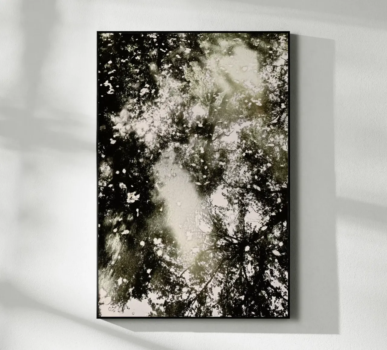 Tiergarten 6 plexiglass da Angelo Cerantola