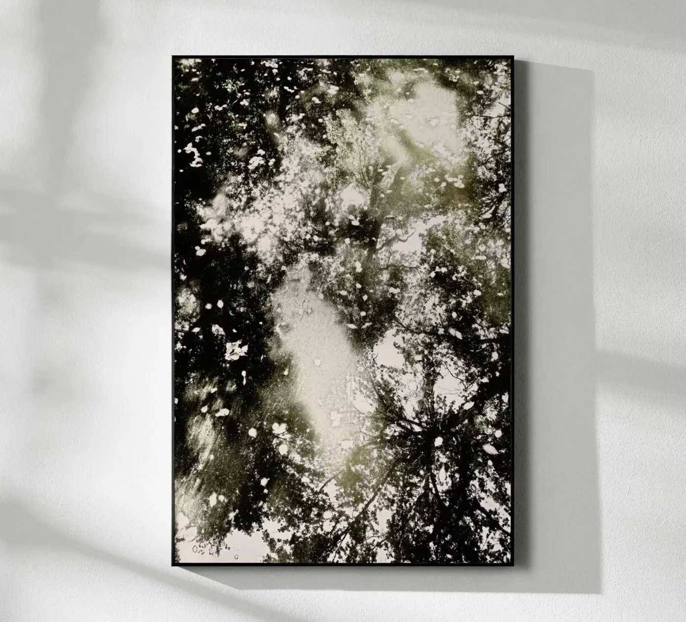 Tiergarten 6 plexiglass da Angelo Cerantola