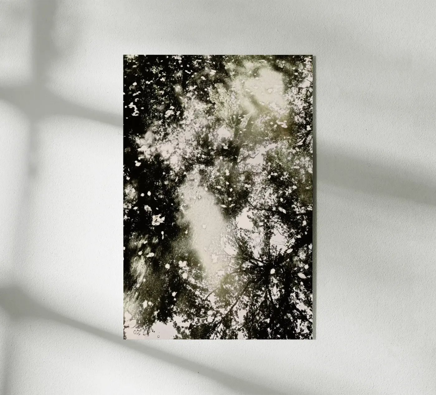 Tiergarten 6 plexiglass da Angelo Cerantola