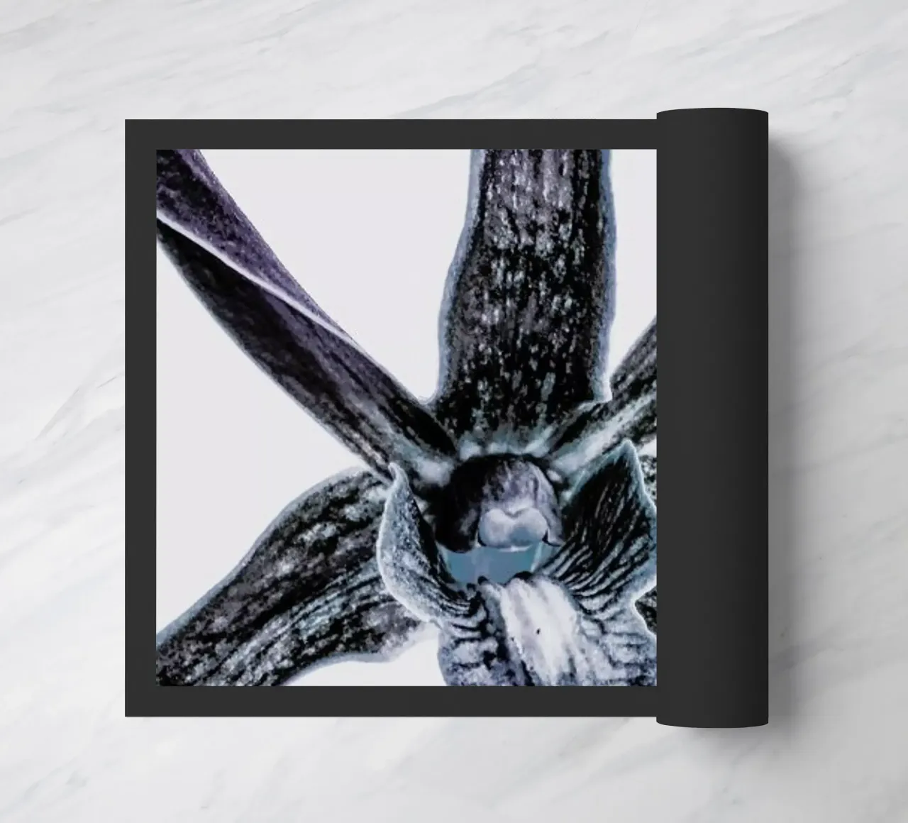 Orchid zerbino da Shot By Clint