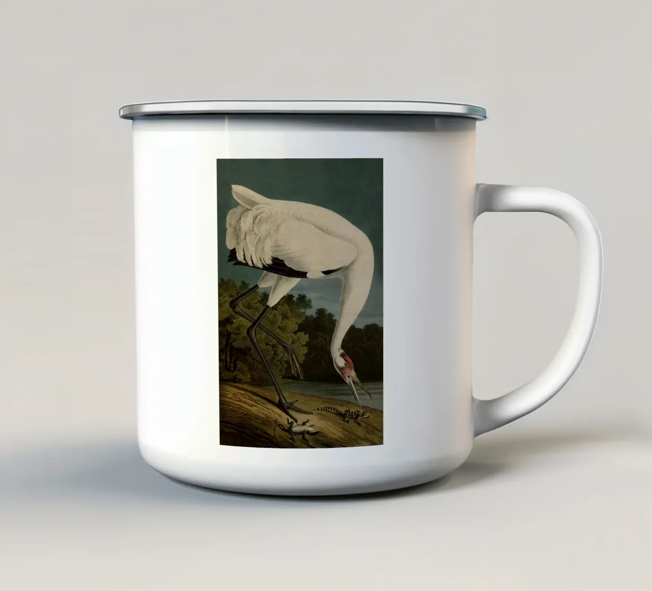 Vintage Audubon 1 Hooping Crane tazza in smalto da Vintage Print Collection