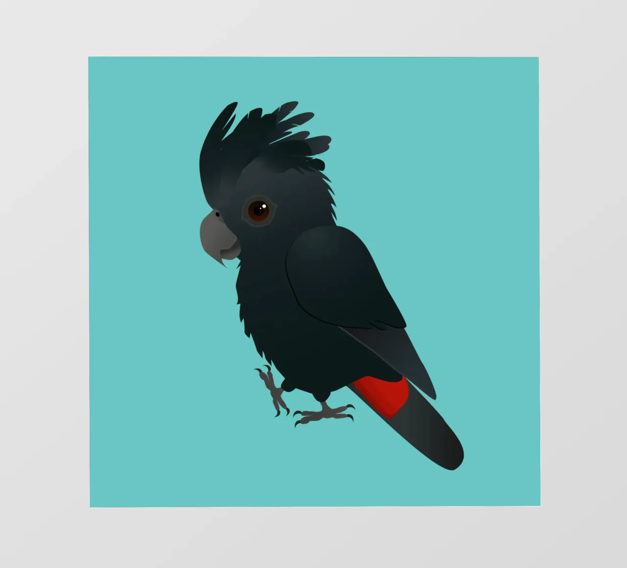 Illustrazione di un simpatico cacatua nero dalla coda rossa pellicola backlit da BwiseLizzy