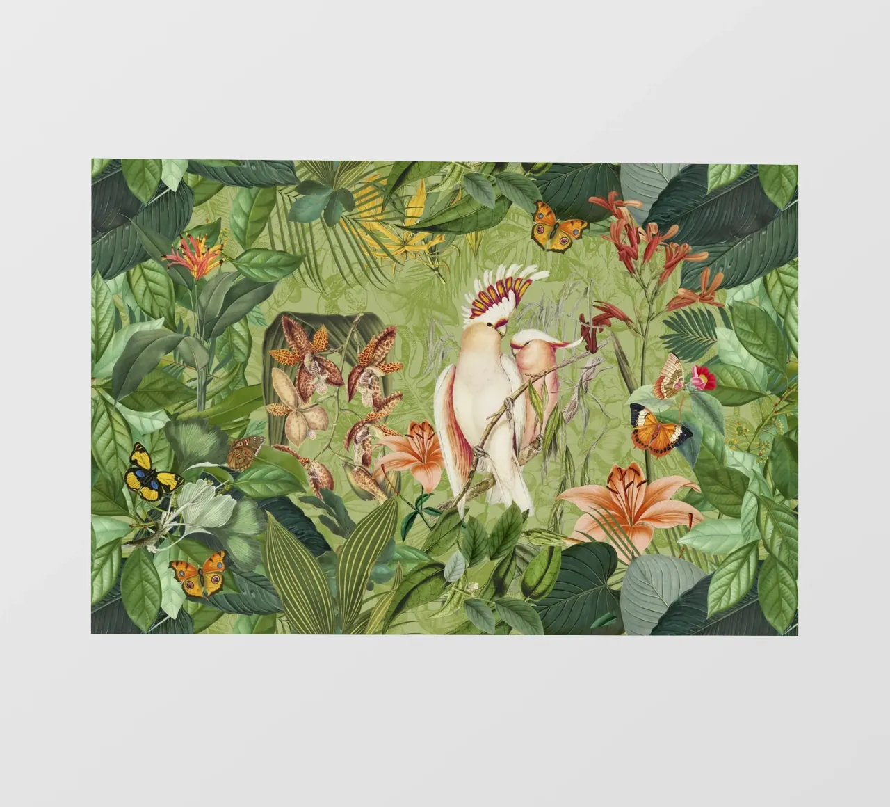 Cacatua Paradiso delle isole tropicali pellicola backlit da Andrea Haase Vintage World