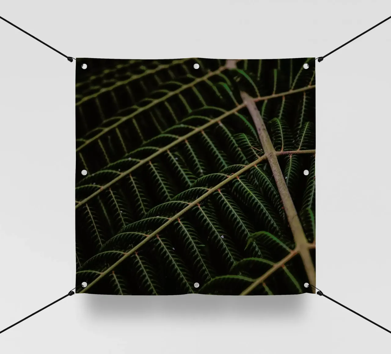 Fern 1 telo in pvc da Nur Mut