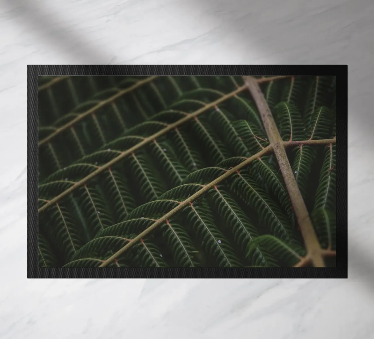 Fern 1 zerbino da Nur Mut