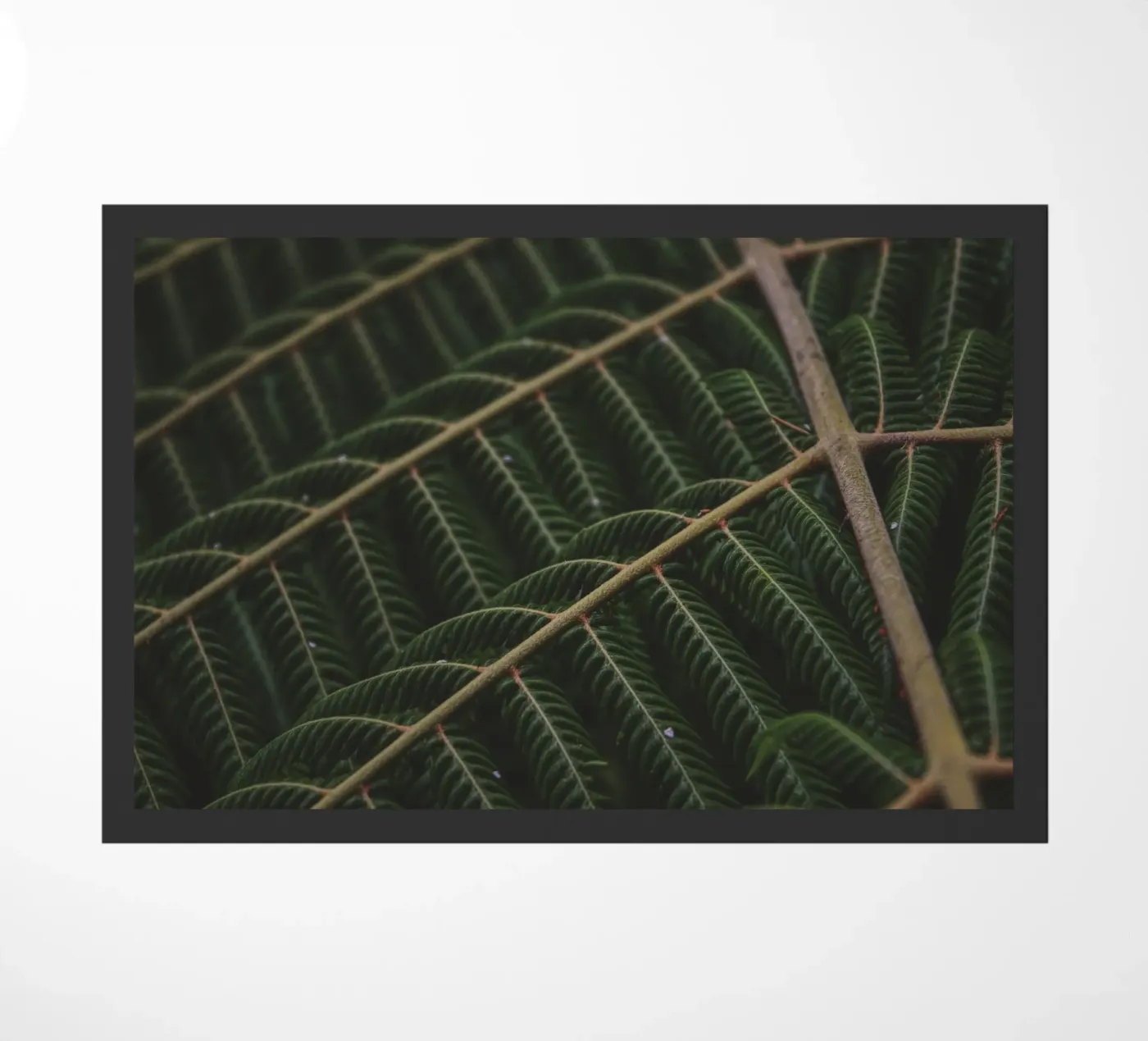 Fern 1 doormat by Nur Mut