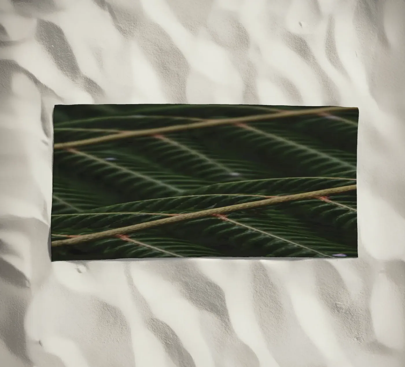 Fern 1 telo mare da Nur Mut