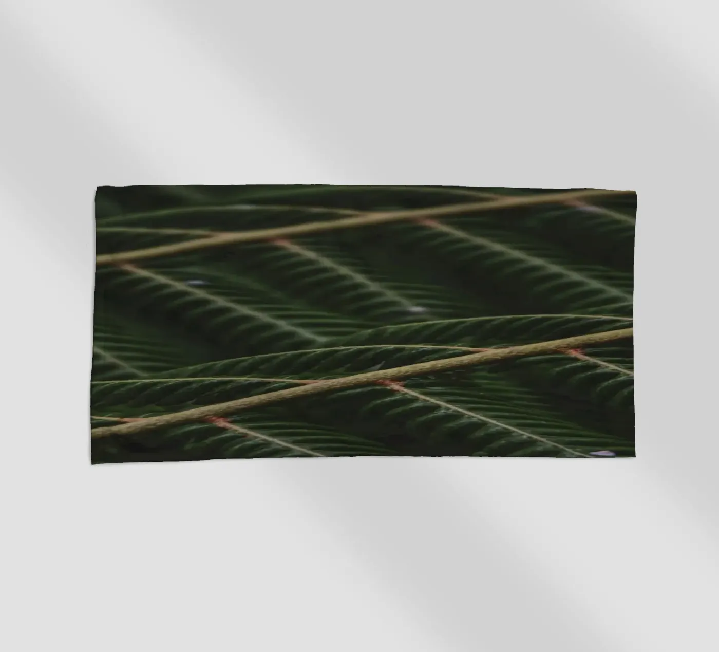 Fern 1 telo mare da Nur Mut