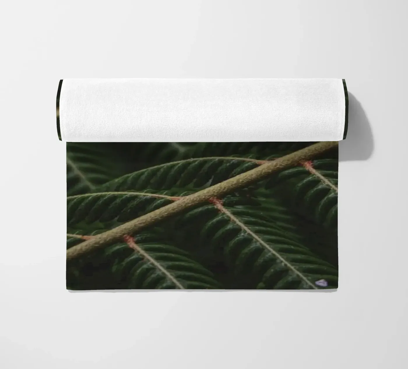 Fern 1 telo mare da Nur Mut