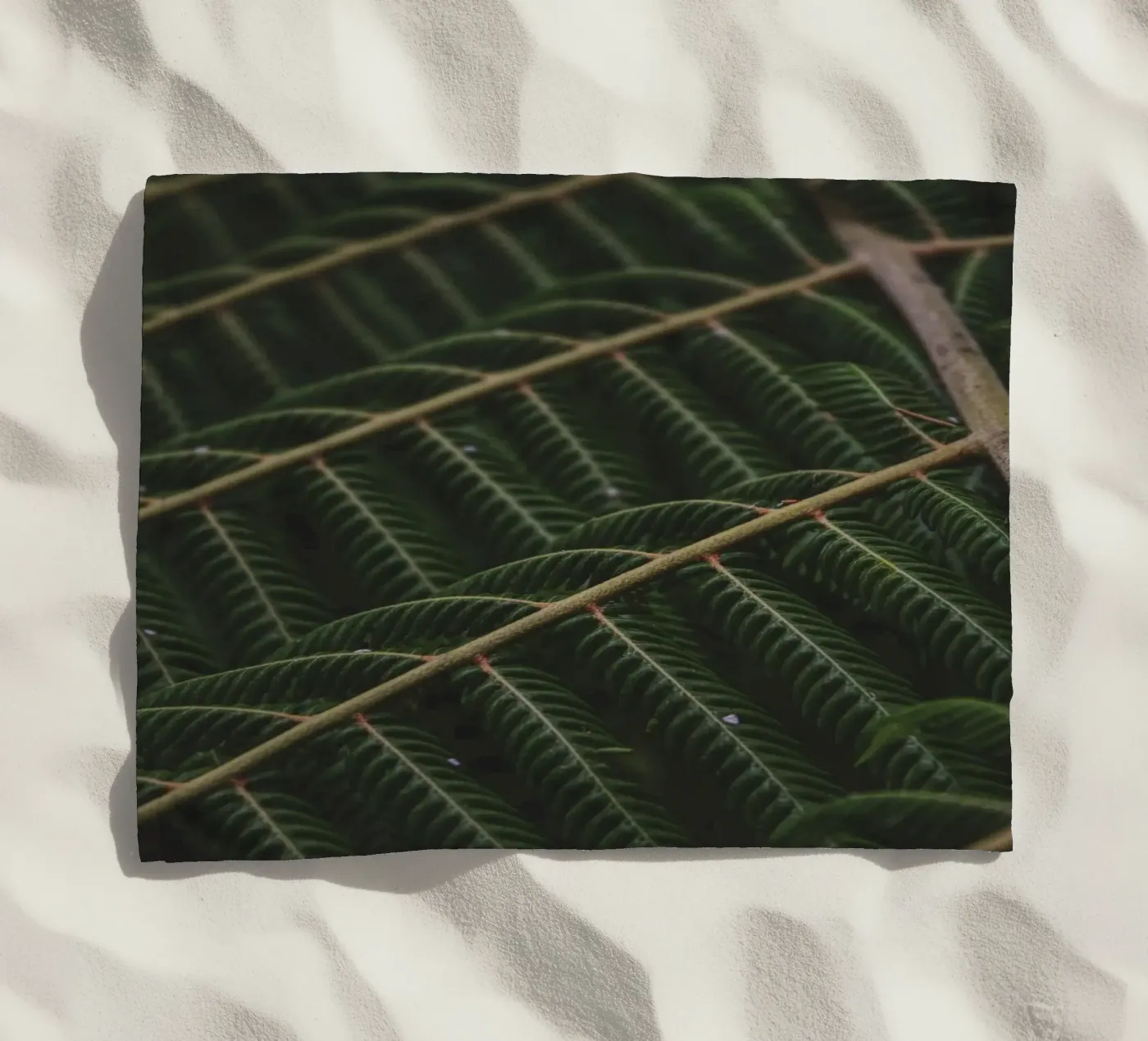 Fern 1 telo mare da Nur Mut