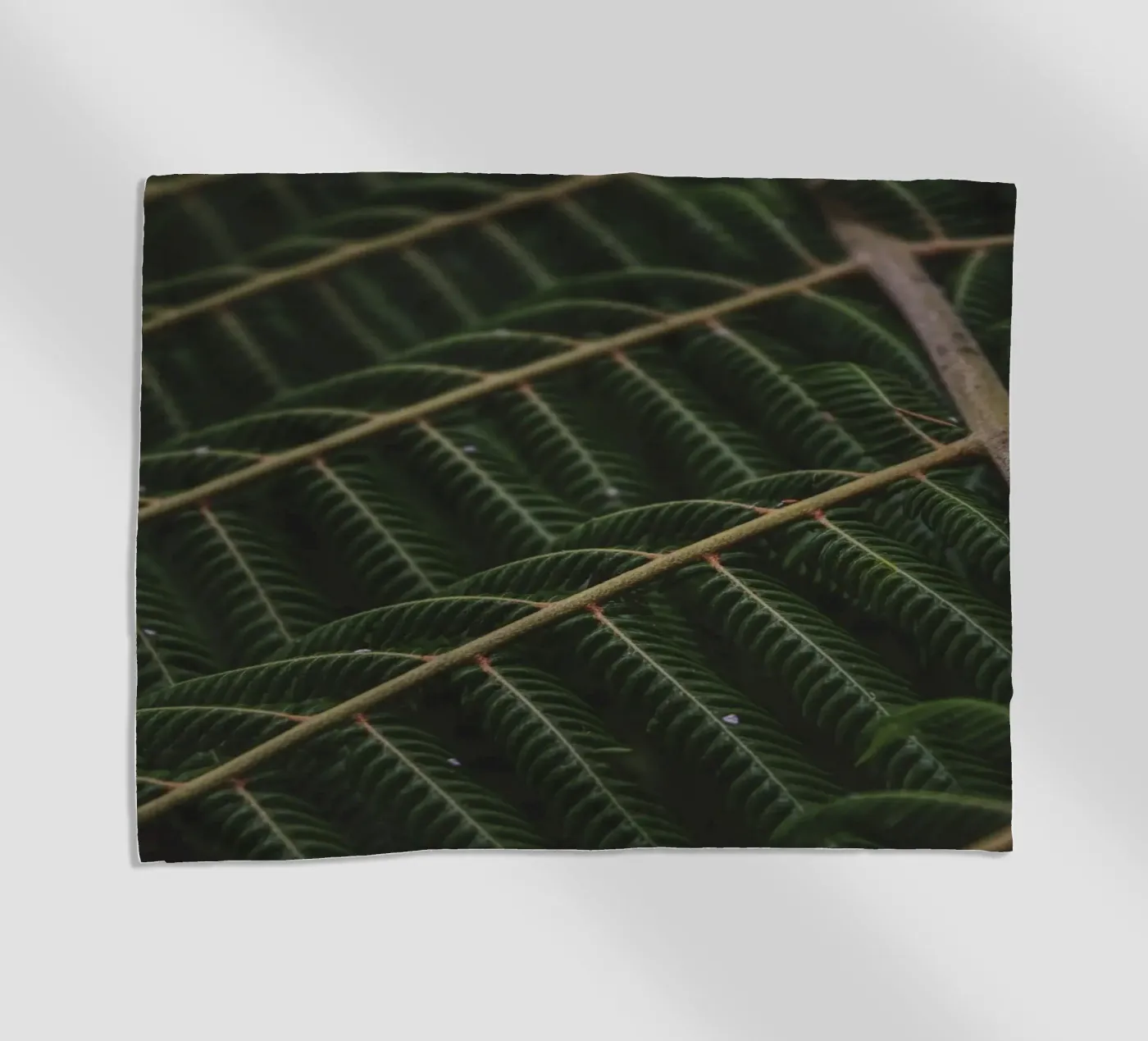 Fern 1 telo mare da Nur Mut