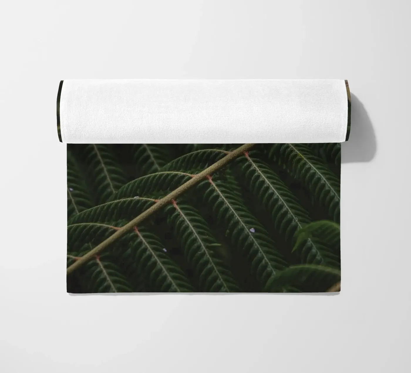 Fern 1 telo mare da Nur Mut