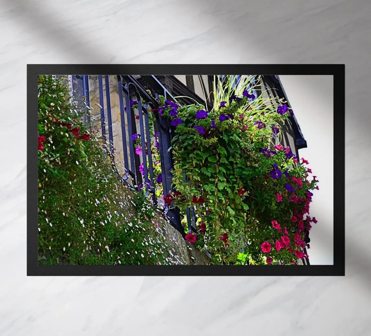 FAA246 zerbino da Thierry vobmann photography