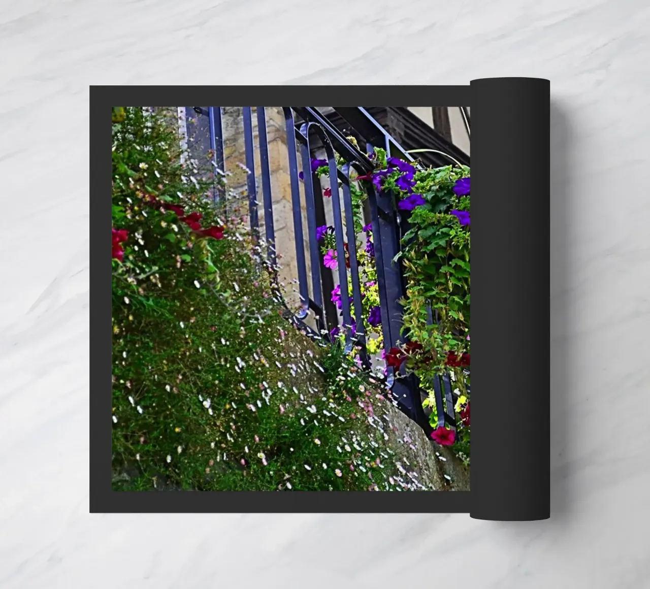 FAA246 zerbino da Thierry vobmann photography