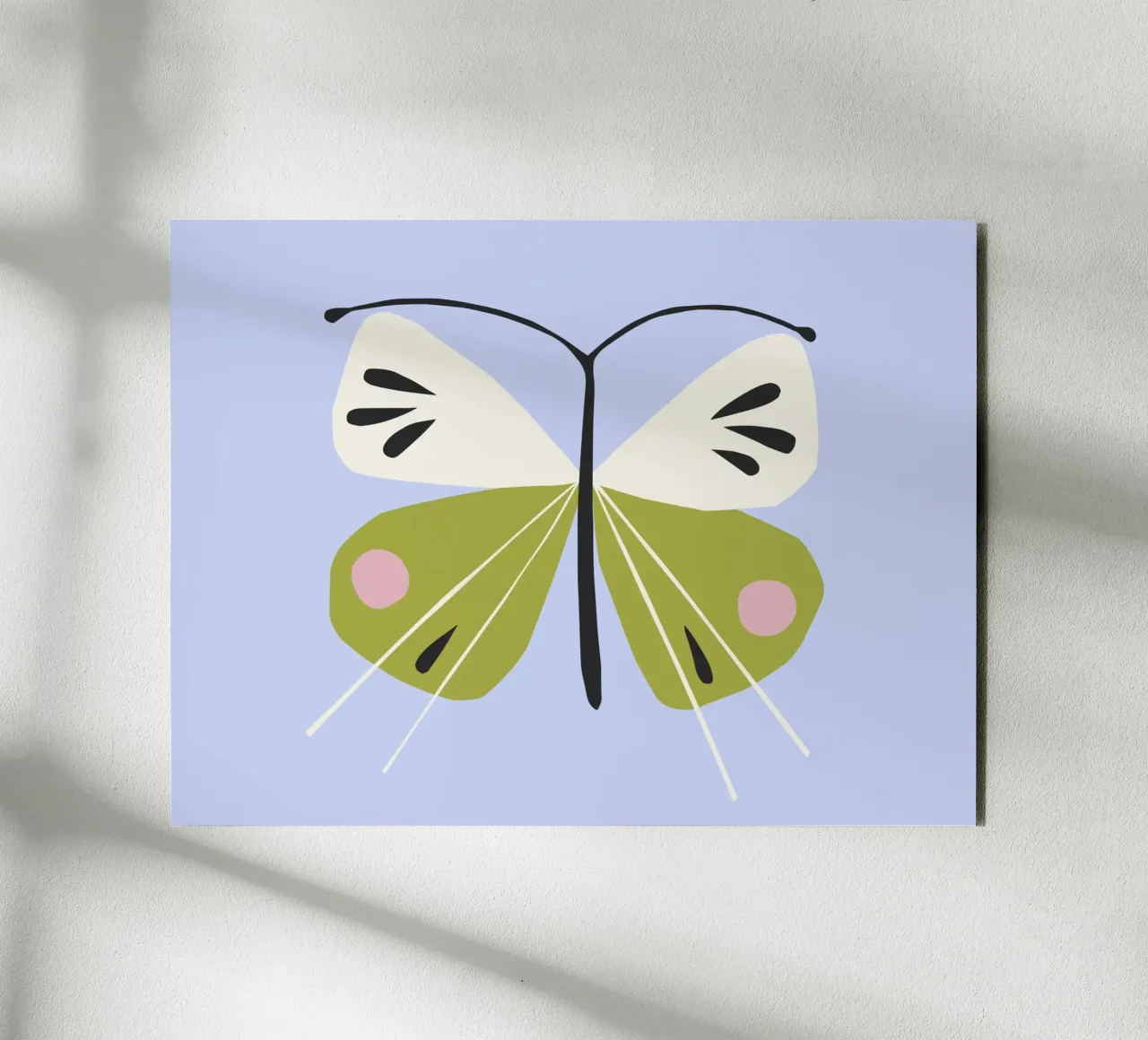 Farfalla alluminio dibond da All Colours