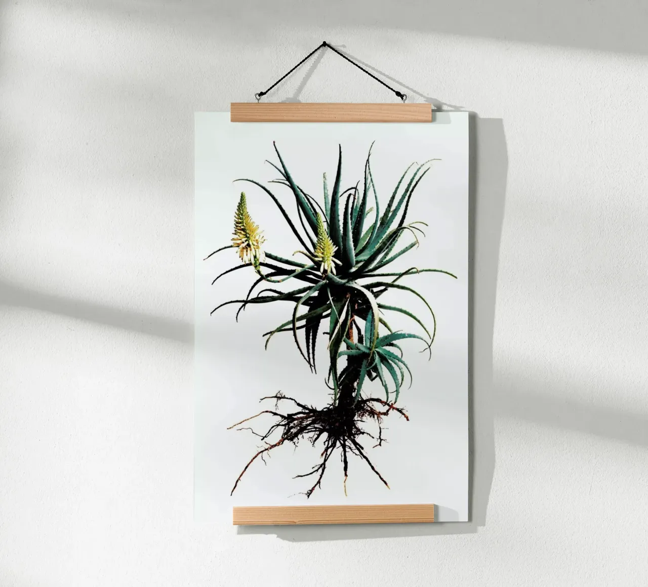 Classic Botanical Whole Plant 01 poster con telaio in alluminio da Shot By Clint