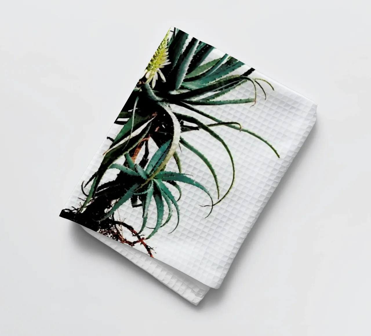 Classic Botanical Whole Plant 01 canovaccio da cucina da Shot By Clint