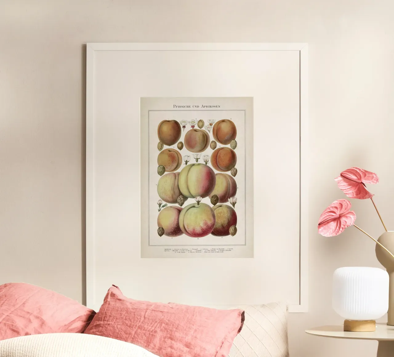 Vintage Meyers 6 Pfirsiche und Aprikosen poster con telaio in alluminio da Vintage Print Collection