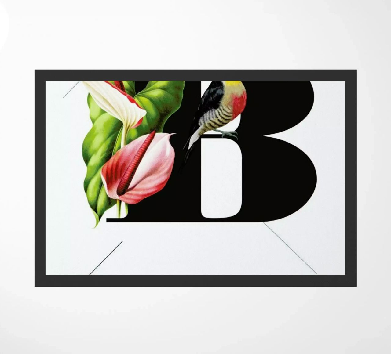 Botanical Alphabet - B zerbino da Froilein Juno