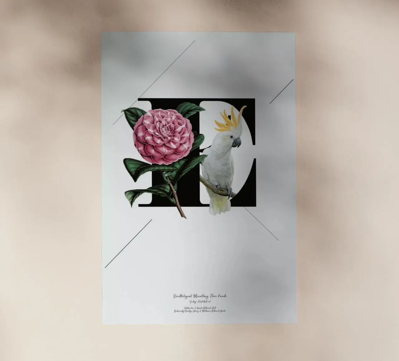 Botanical Alphabet - E pellicola backlit da Froilein Juno