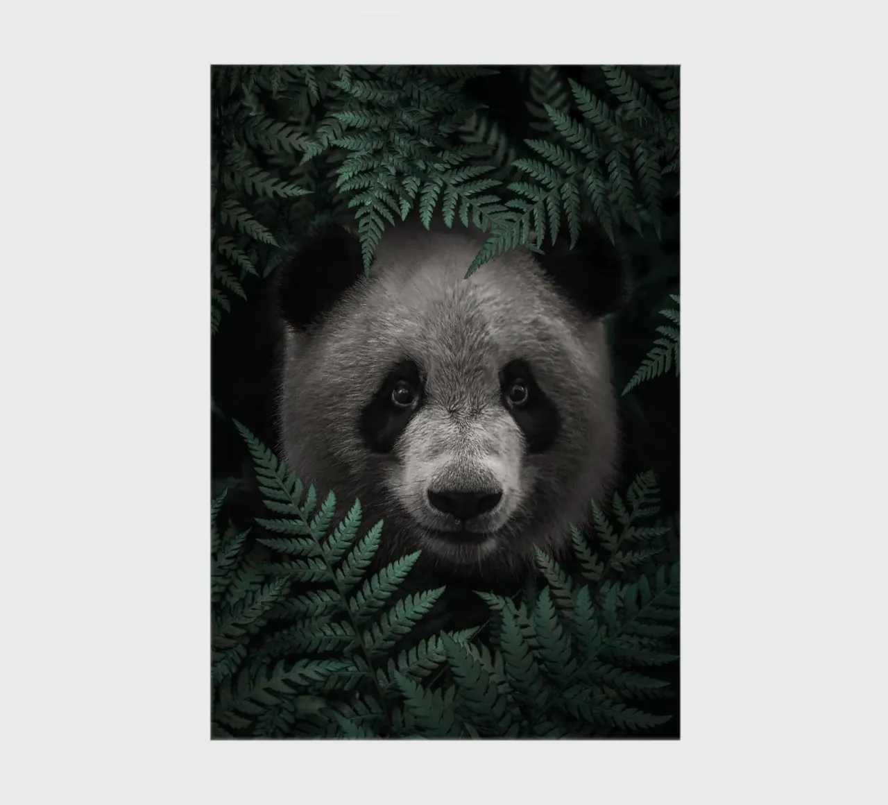 Panda Bear In The Forest notebook by arizrab