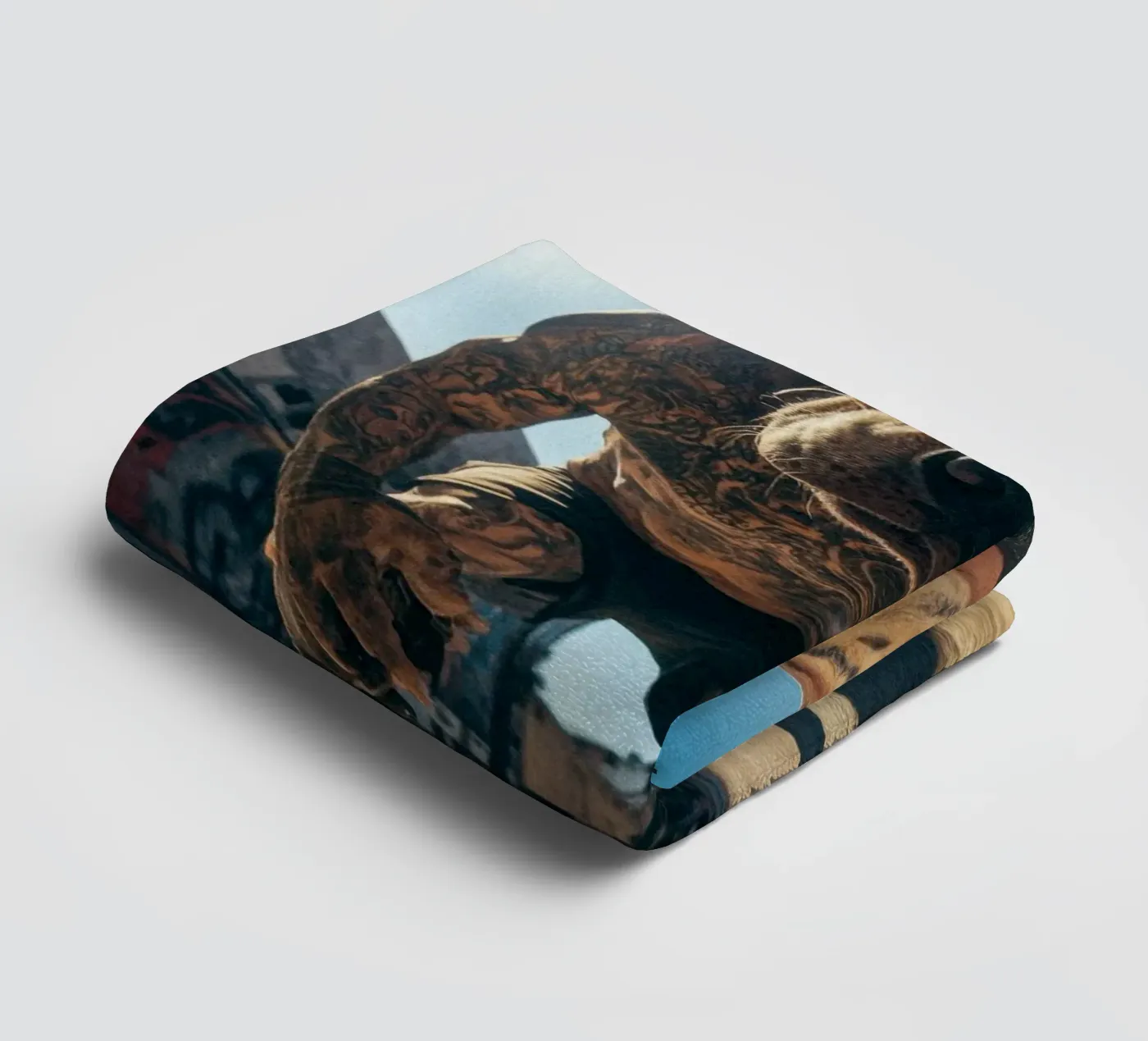 Blaze towel by Affiches Chien Originales – Dogland