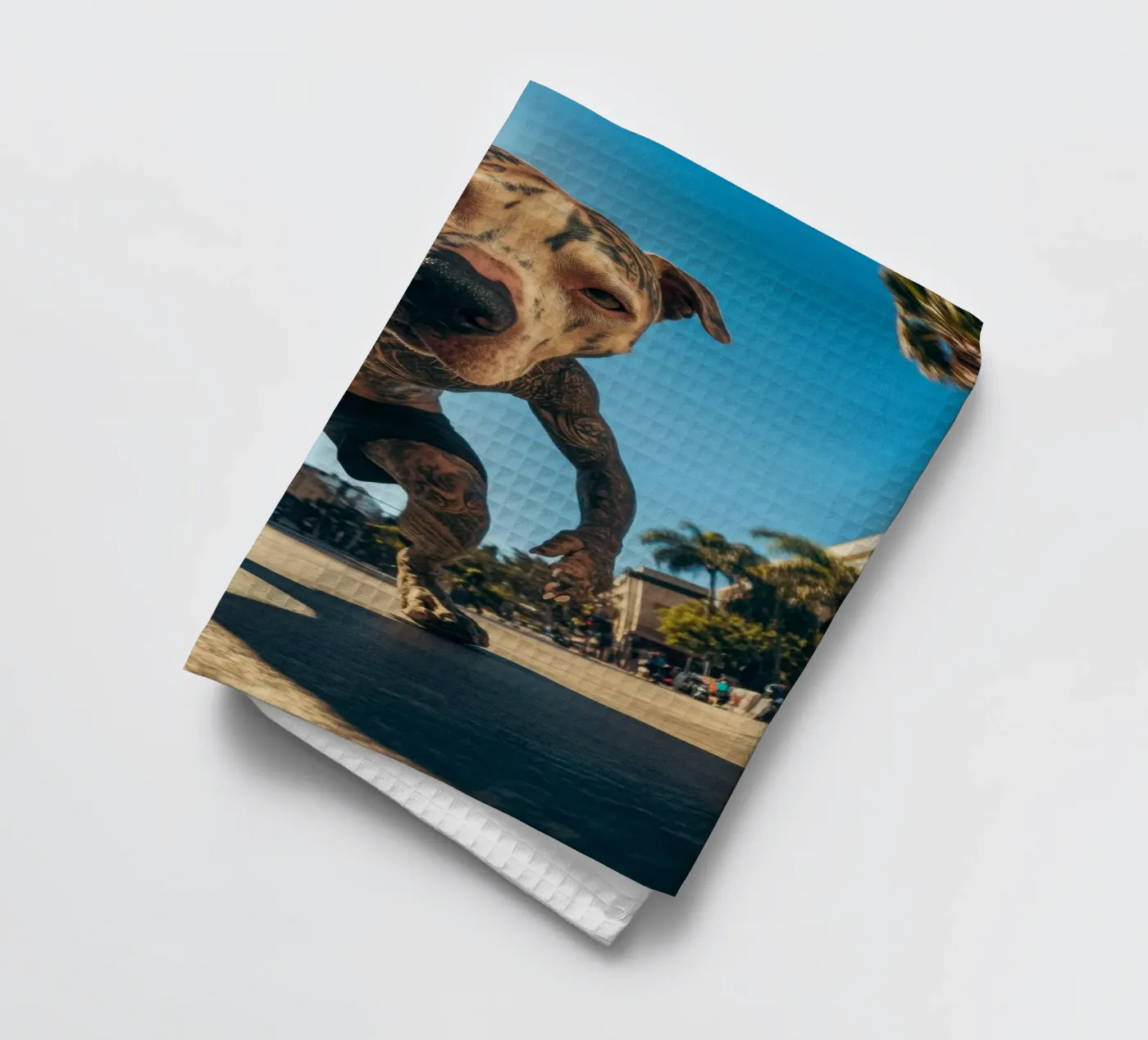 Blaze torchon de Affiches Chien Originales – Dogland