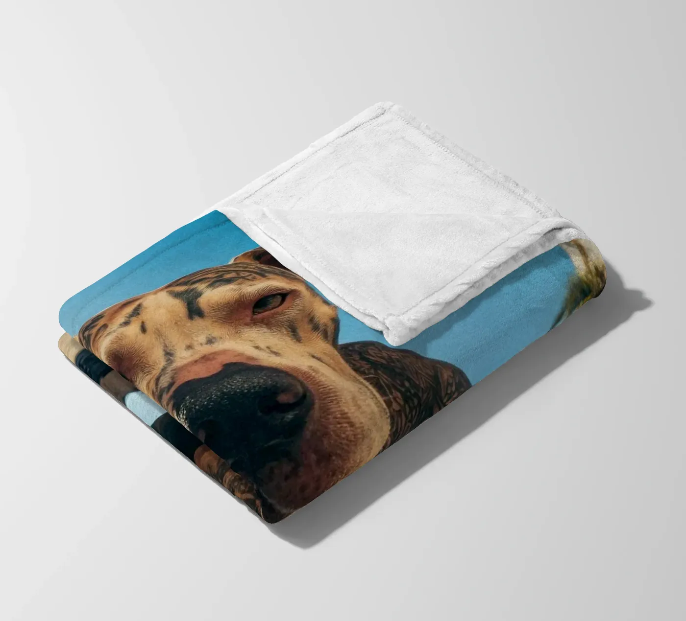 Blaze Fleecedecke von Affiches Chien Originales – Dogland