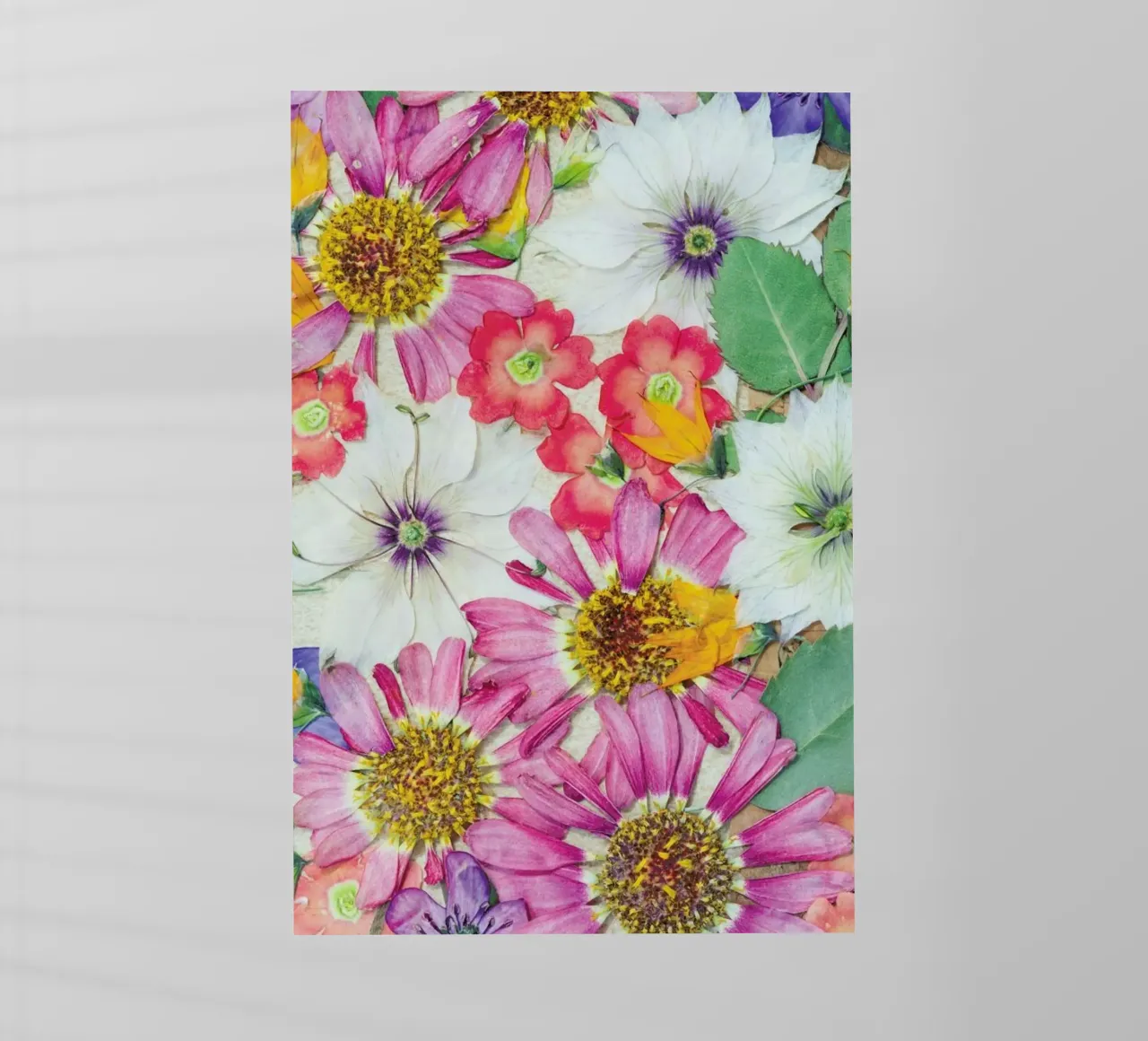 Fragile Flowers pellicola backlit da Curious Collections by Marielle Leenders