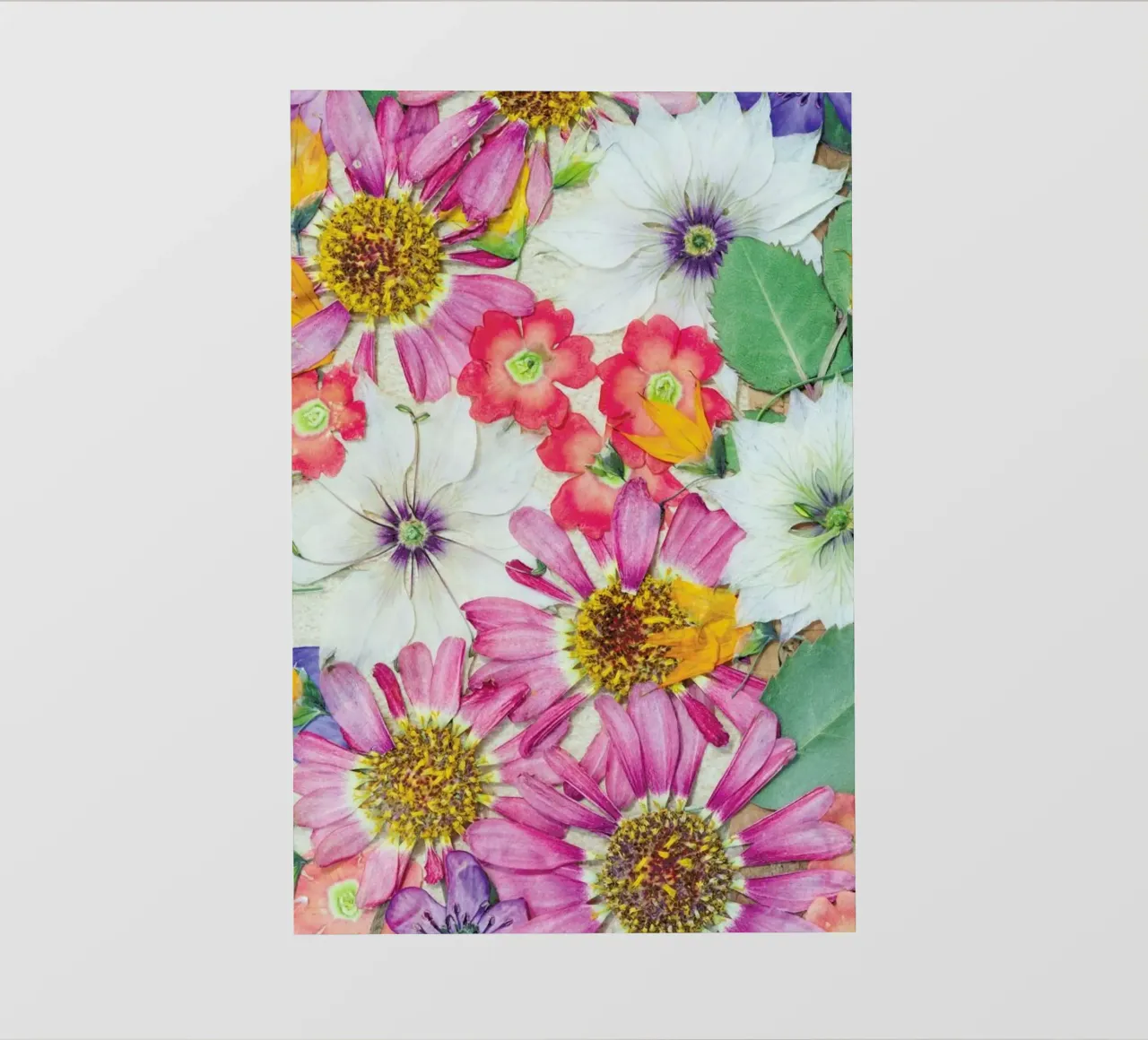 Fragile Flowers pellicola backlit da Curious Collections by Marielle Leenders