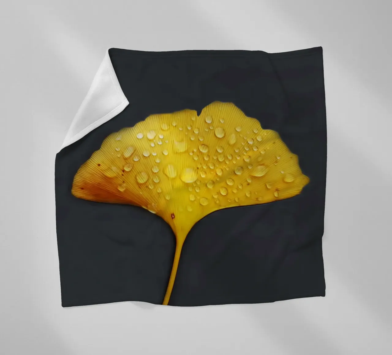 Foglie di ginkgo e gocce di rugiada coperta in pile da Teresa André