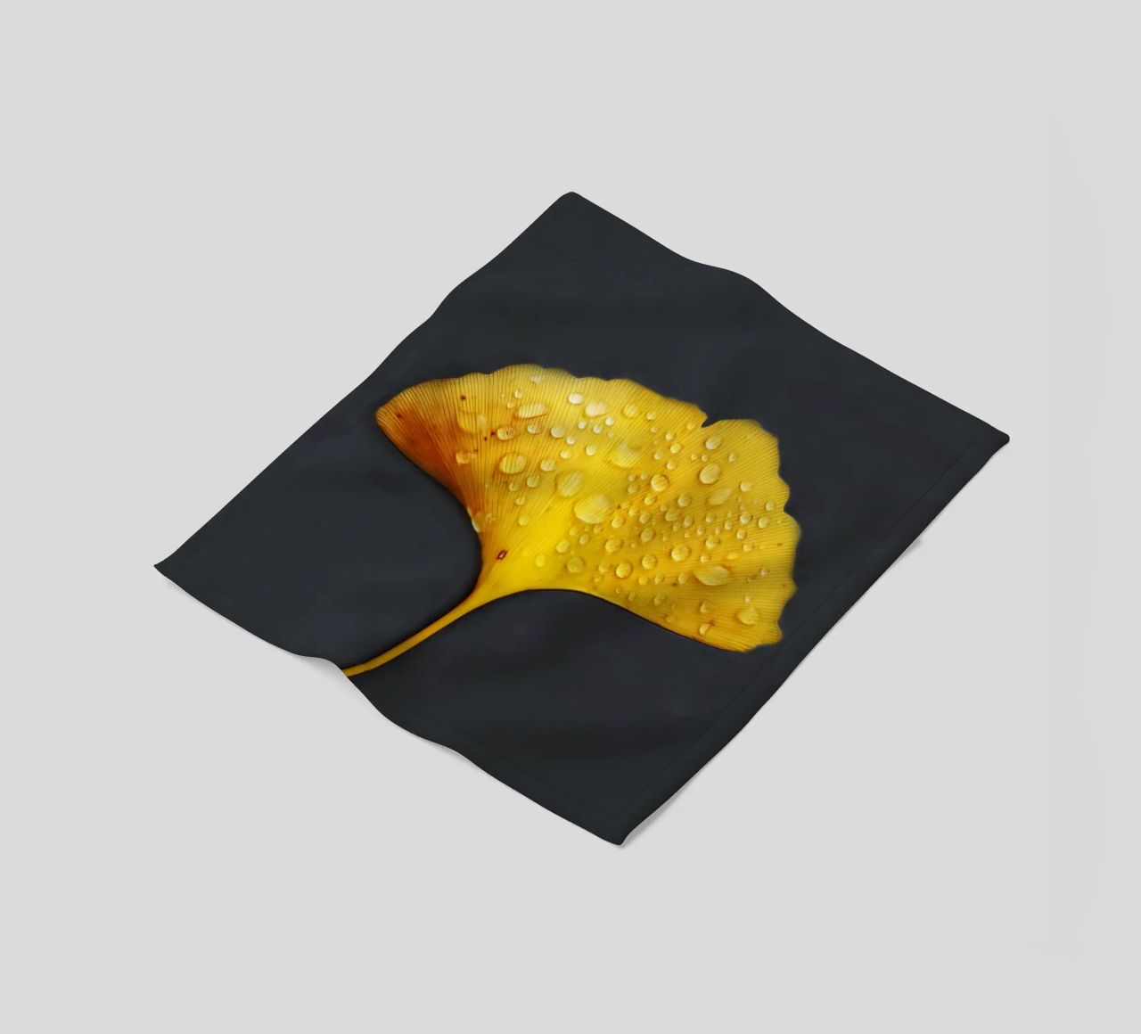 Foglie di ginkgo e gocce di rugiada coperta in pile da Teresa André