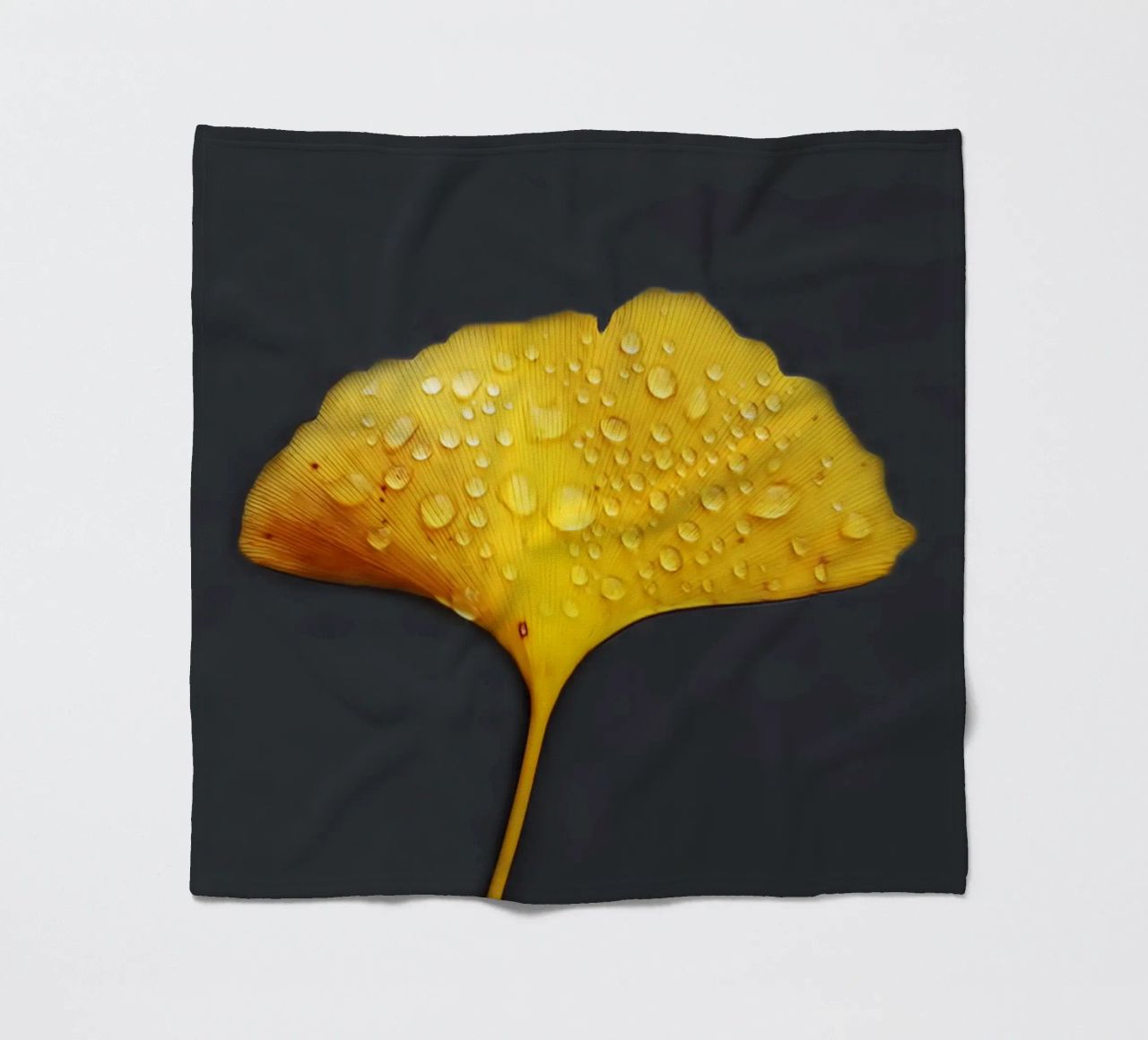 Foglie di ginkgo e gocce di rugiada coperta in pile da Teresa André