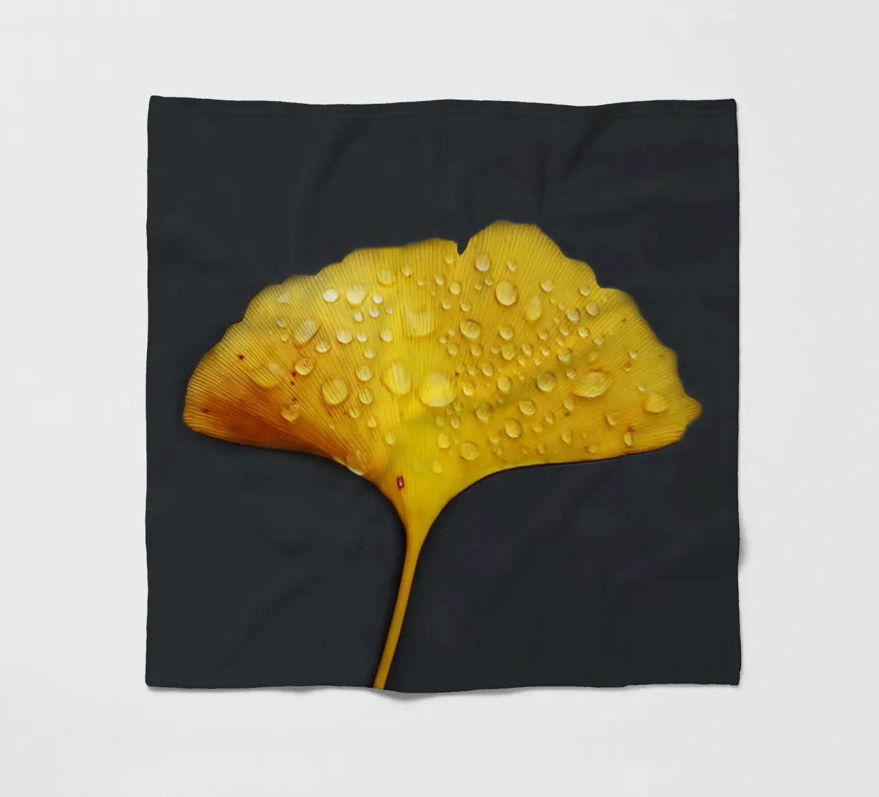 Foglie di ginkgo e gocce di rugiada coperta in pile da Teresa André