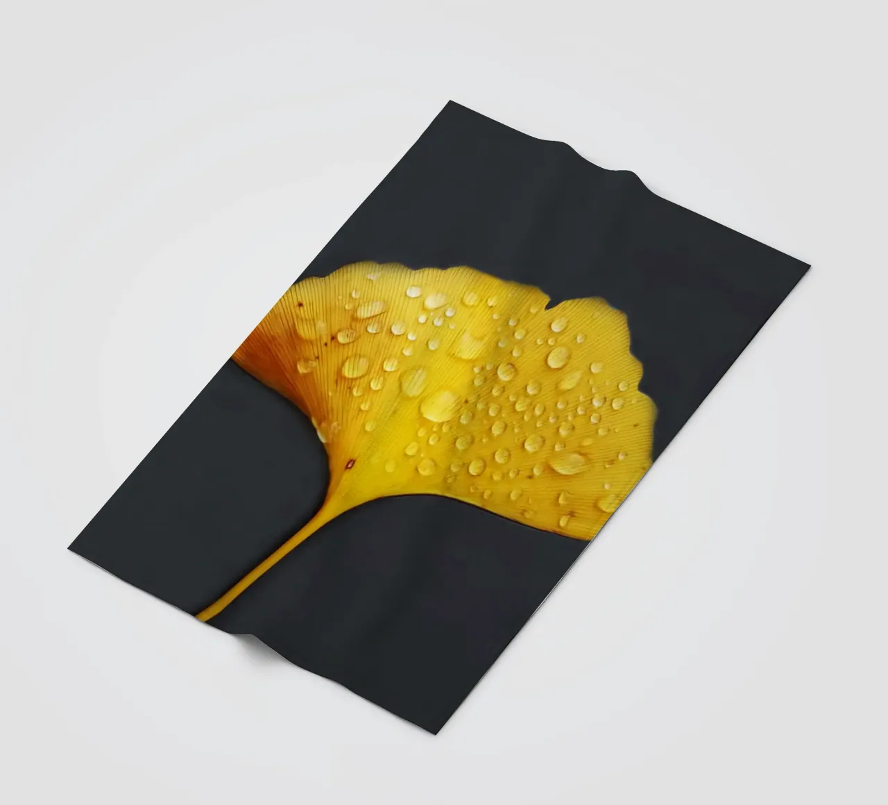 Foglie di ginkgo e gocce di rugiada coperta in pile da Teresa André