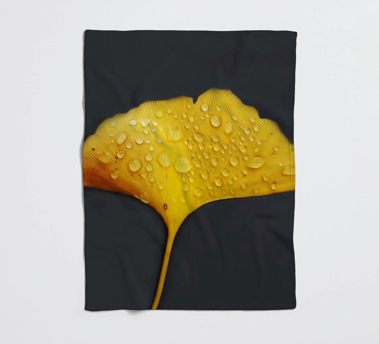 Foglie di ginkgo e gocce di rugiada coperta in pile da Teresa André
