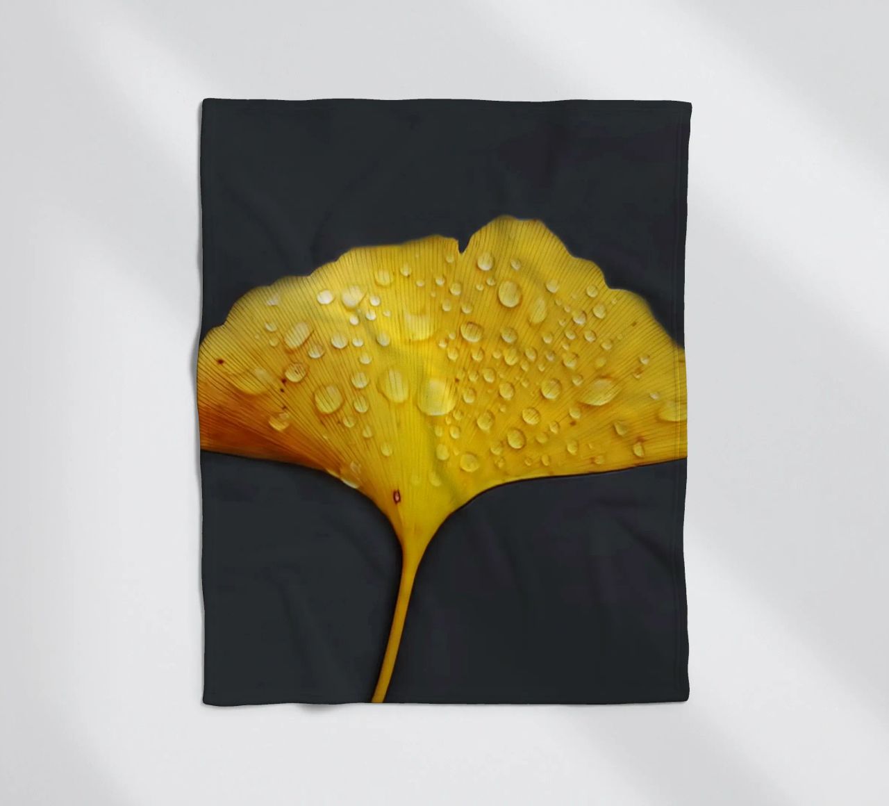 Foglie di ginkgo e gocce di rugiada coperta in pile da Teresa André