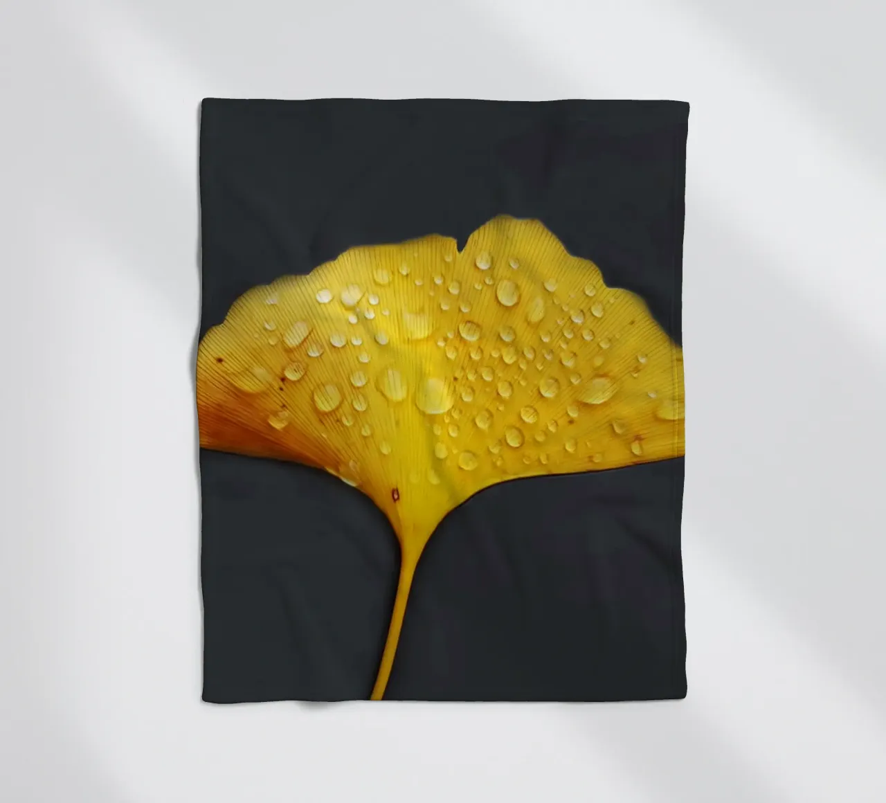 Foglie di ginkgo e gocce di rugiada coperta in pile da Teresa André