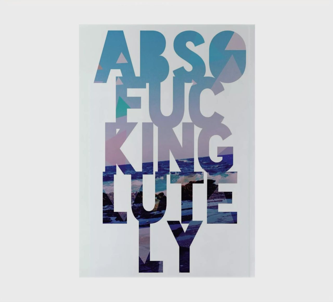 Abso...lutely! II diario da Leah Flores