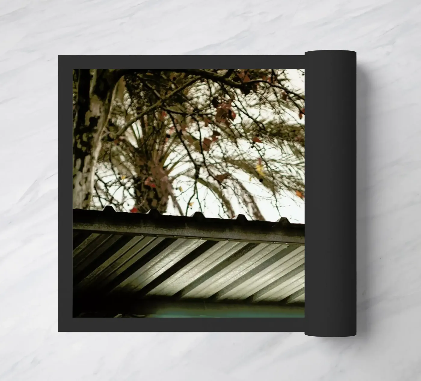 DSC8968 doormat by Dustin Janko