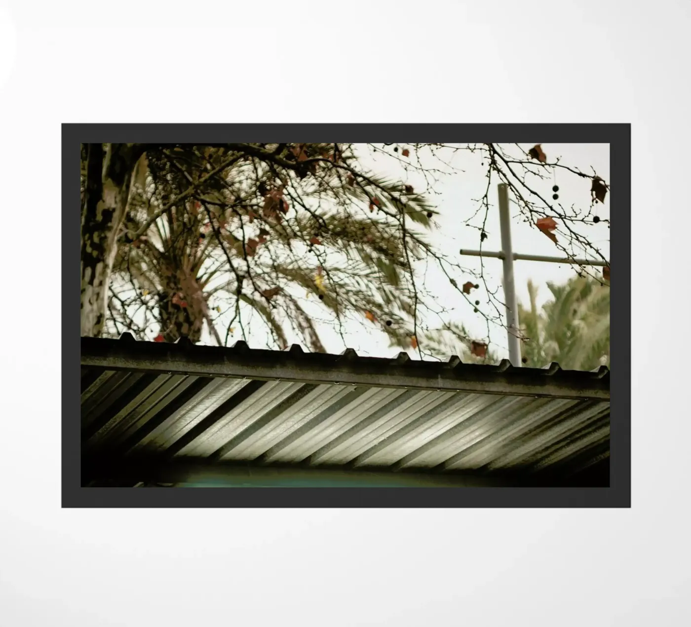 DSC8968 doormat by Dustin Janko