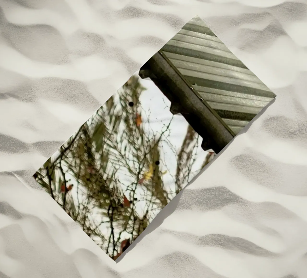 DSC8968 telo mare da Dustin Janko