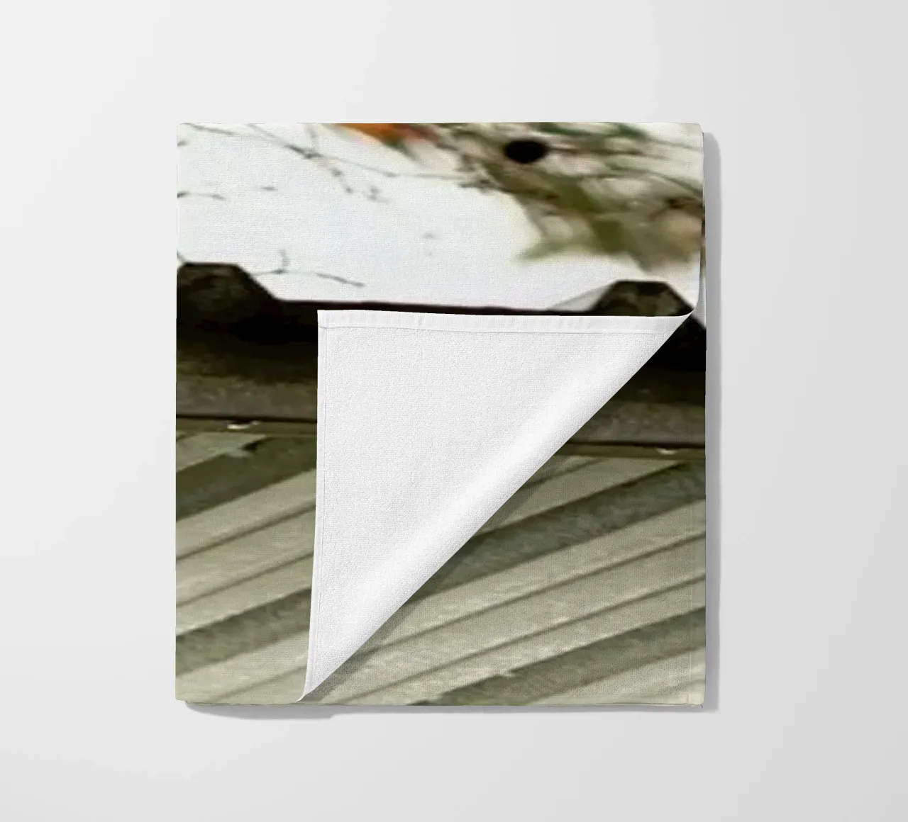 DSC8968 telo mare da Dustin Janko