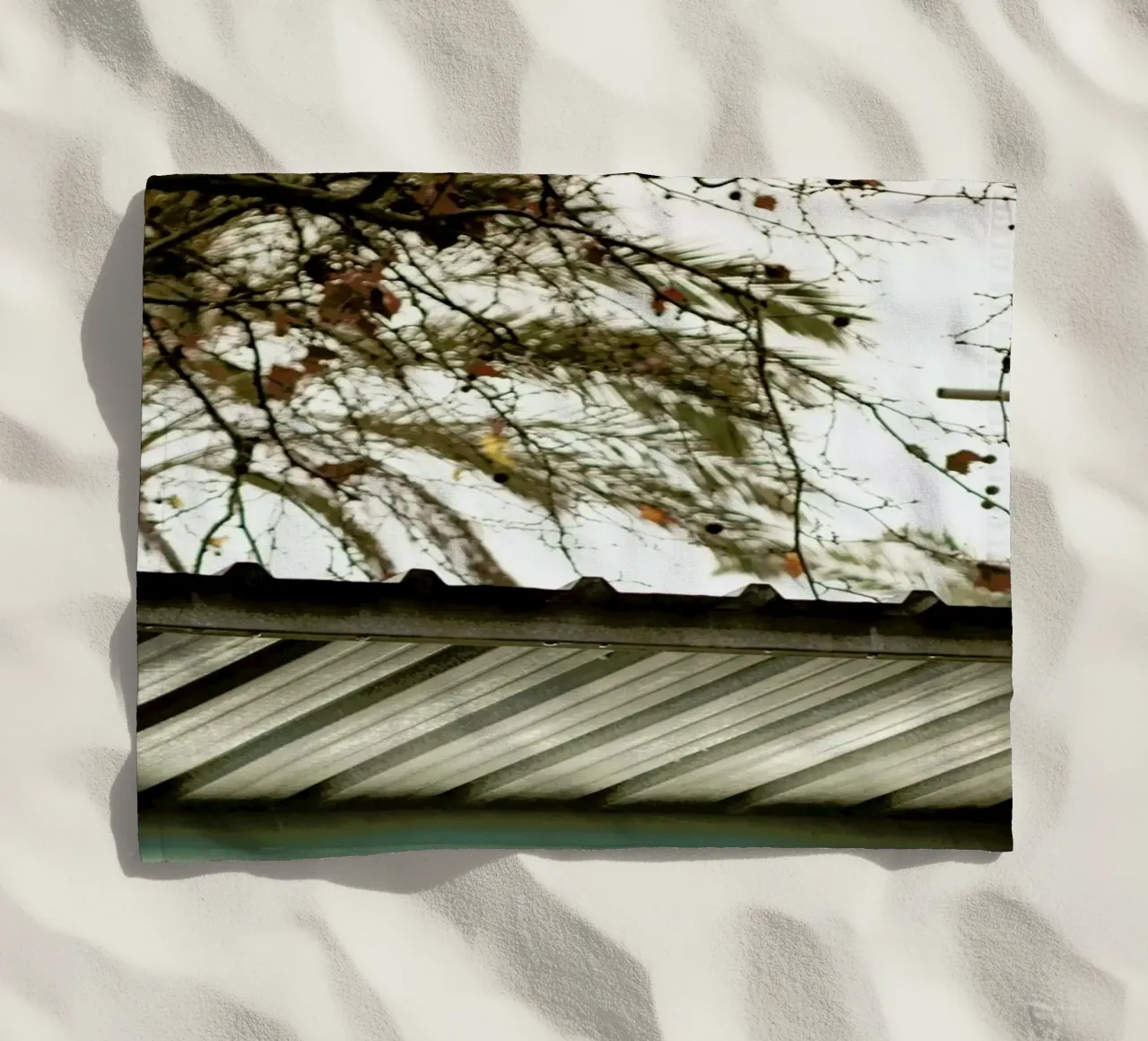 DSC8968 telo mare da Dustin Janko