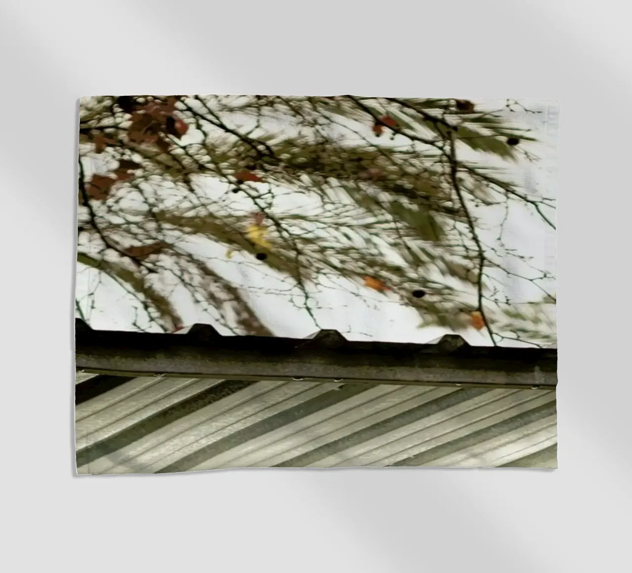 DSC8968 telo mare da Dustin Janko