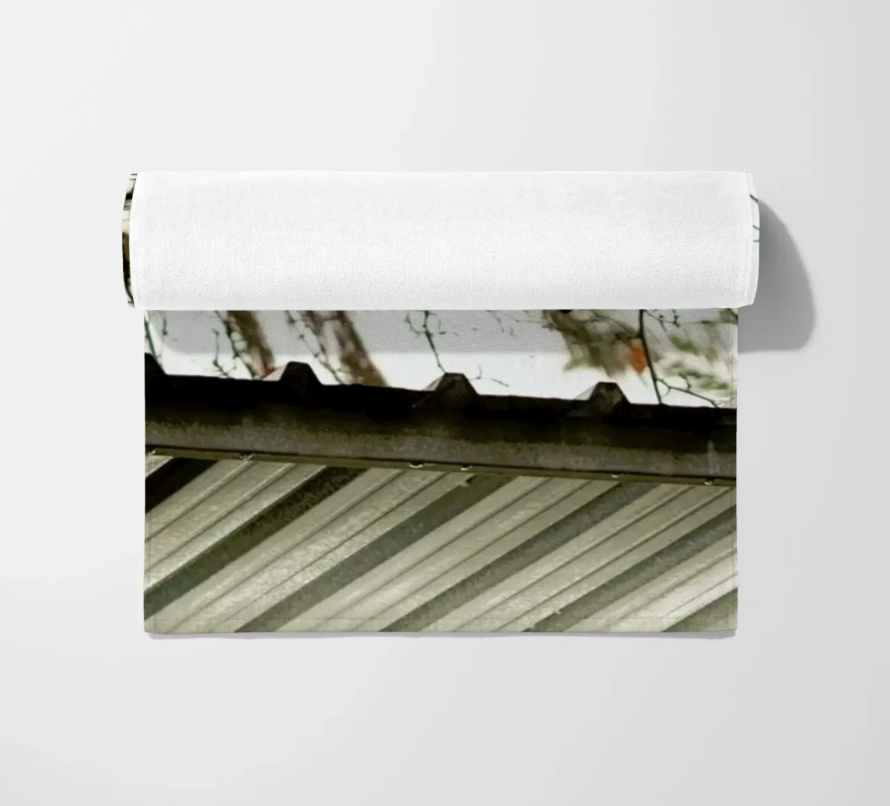 DSC8968 telo mare da Dustin Janko