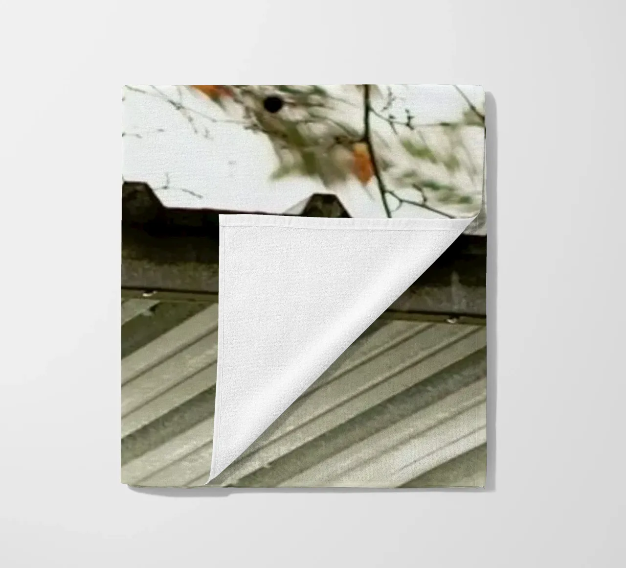 DSC8968 telo mare da Dustin Janko