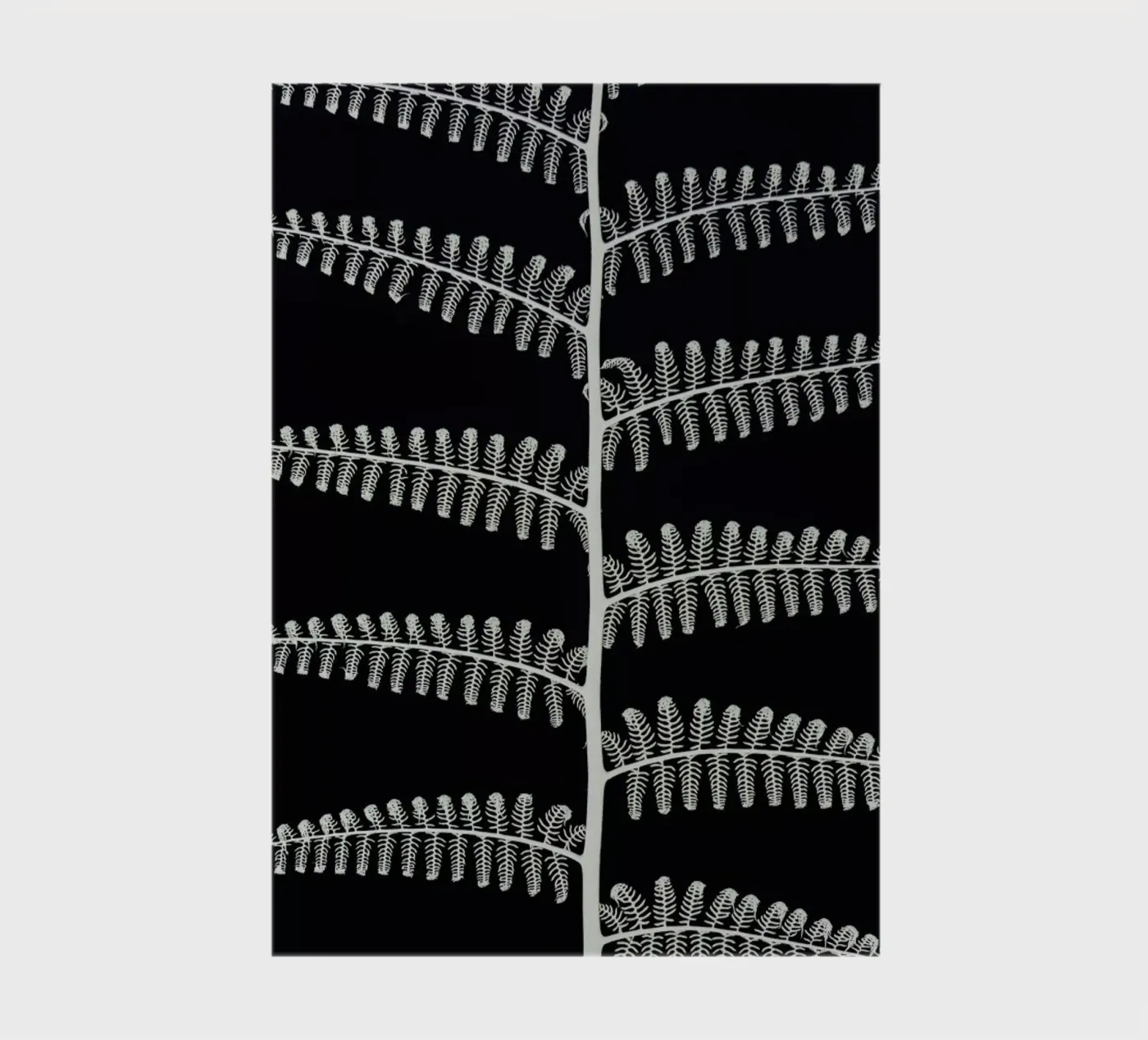 Fern notebook by Shot By Clint